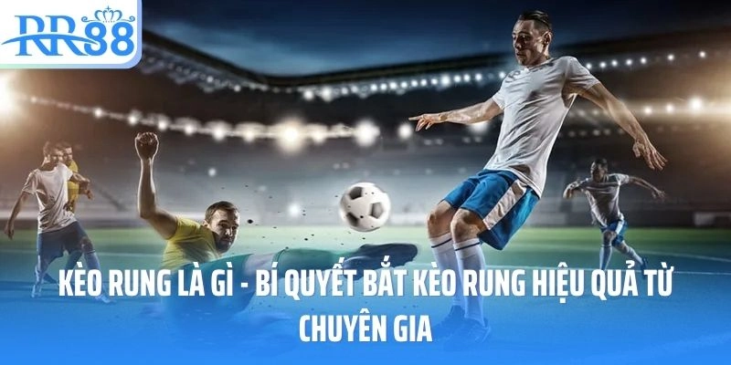 Bí quyết bắt kèo rung chuẩn xác cùng https://clubmed.us.com/